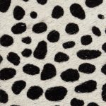 Baby cheetah