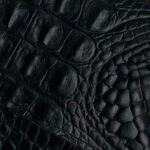 Caiman Black