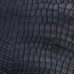 Baby turtle black
