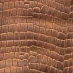 Baby turtle cognac
