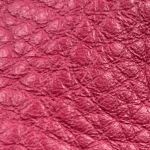 Candy Cane Pink