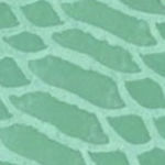Snake mint