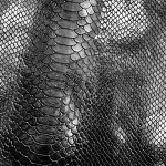 Snake black