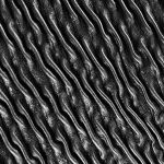 Black embossed