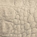 Caiman Sand