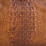 Caiman Cognac