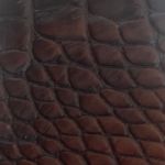 Caiman Brown
