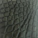 Caiman Olive
