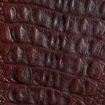 Caiman Mahogany